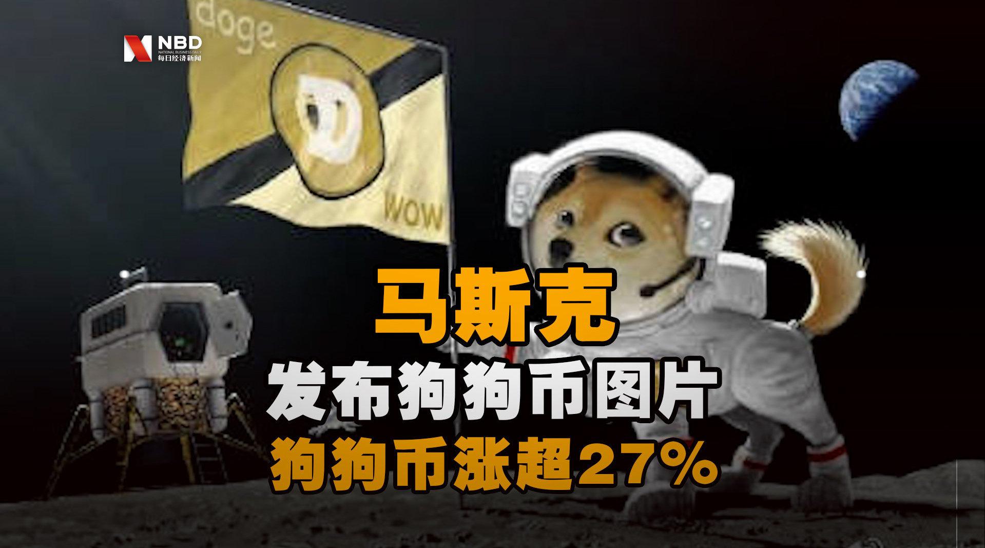 马斯克柴犬币图片