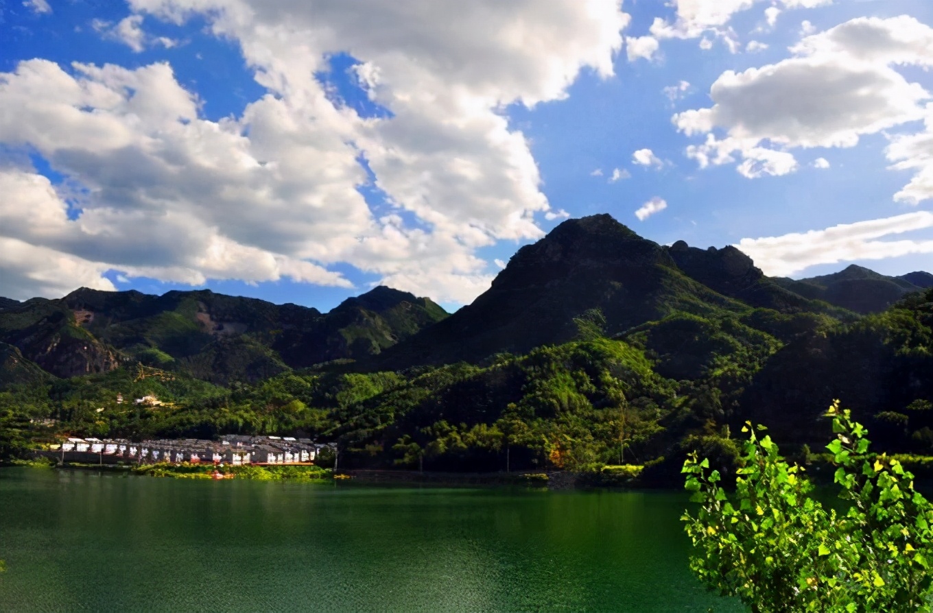 历史的足迹,追寻杨家台老梨树的历史脉络,京郊福地,蜜梨之乡