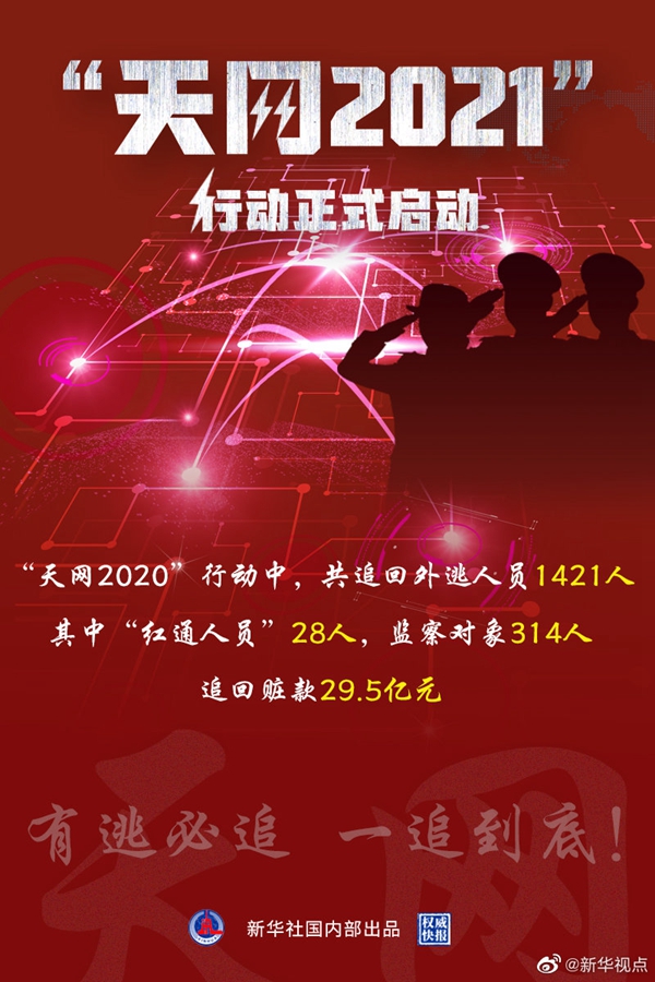 权威快报丨天网2021行动正式启动！