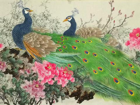 家中挂国画孔雀图福贵又吉祥