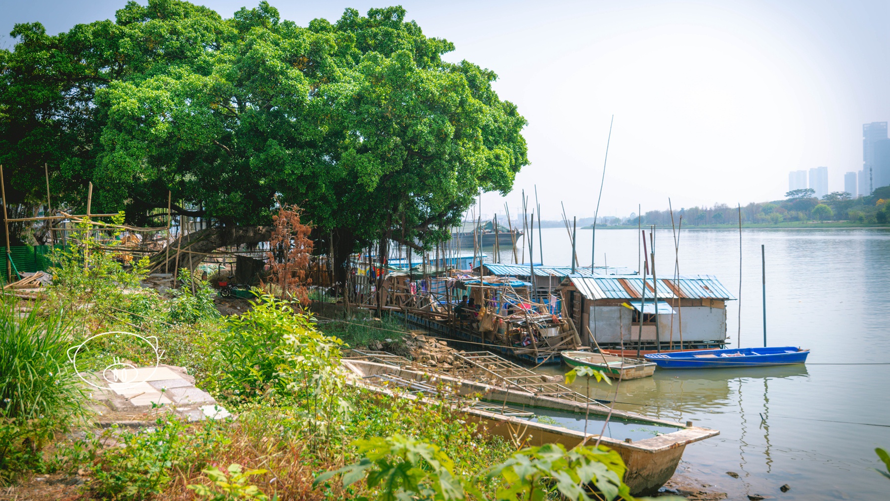 佛山|渔村文化公园看渔人摇桨归家,还能买点河鲜