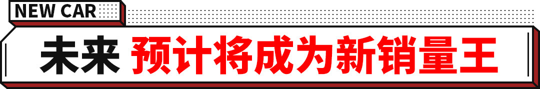 竟然是真的？预售16-20万的特斯拉全新车今年推出！