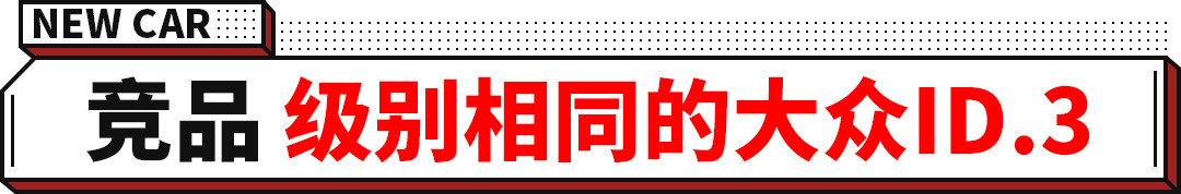 竟然是真的？预售16-20万的特斯拉全新车今年推出！