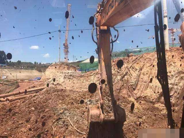 90后小伙开挖机月入过万，大伙称是蓝翔毕业的休闲区蓝鸢梦想 - Www.slyday.coM