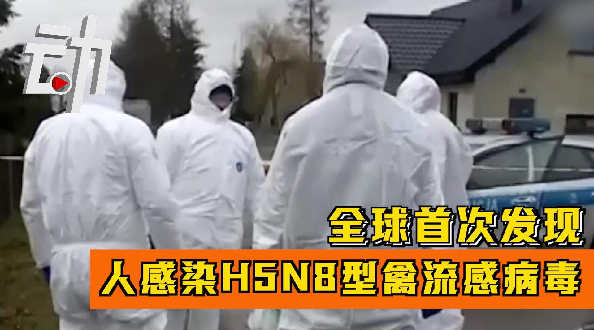 已有13国发现H5N8型禽流感病毒 世卫组织:H5N8型禽流感人传人风险较低_新浪新闻