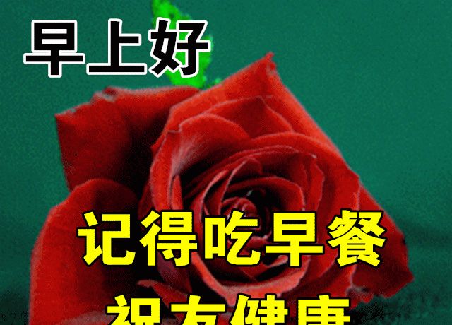春天天清晨早上好问候祝福动画图片鲜花带字