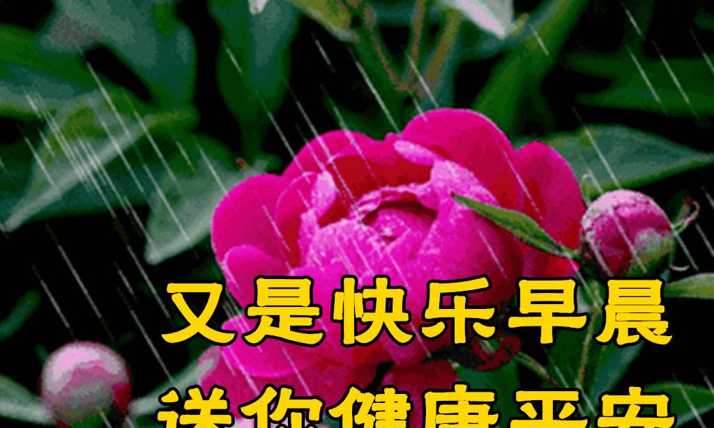 春天天清晨早上好问候祝福动画图片鲜花带字