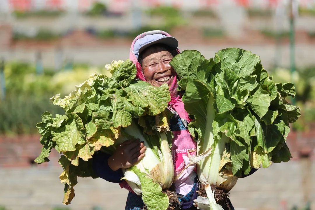 看春耕画卷正在云岭大地徐徐展开