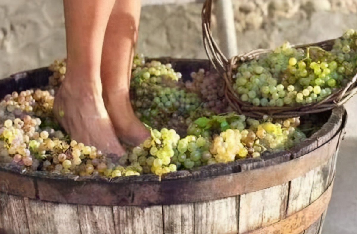 用"脚"踩出来的美食,别嫌弃,有一种你天天吃