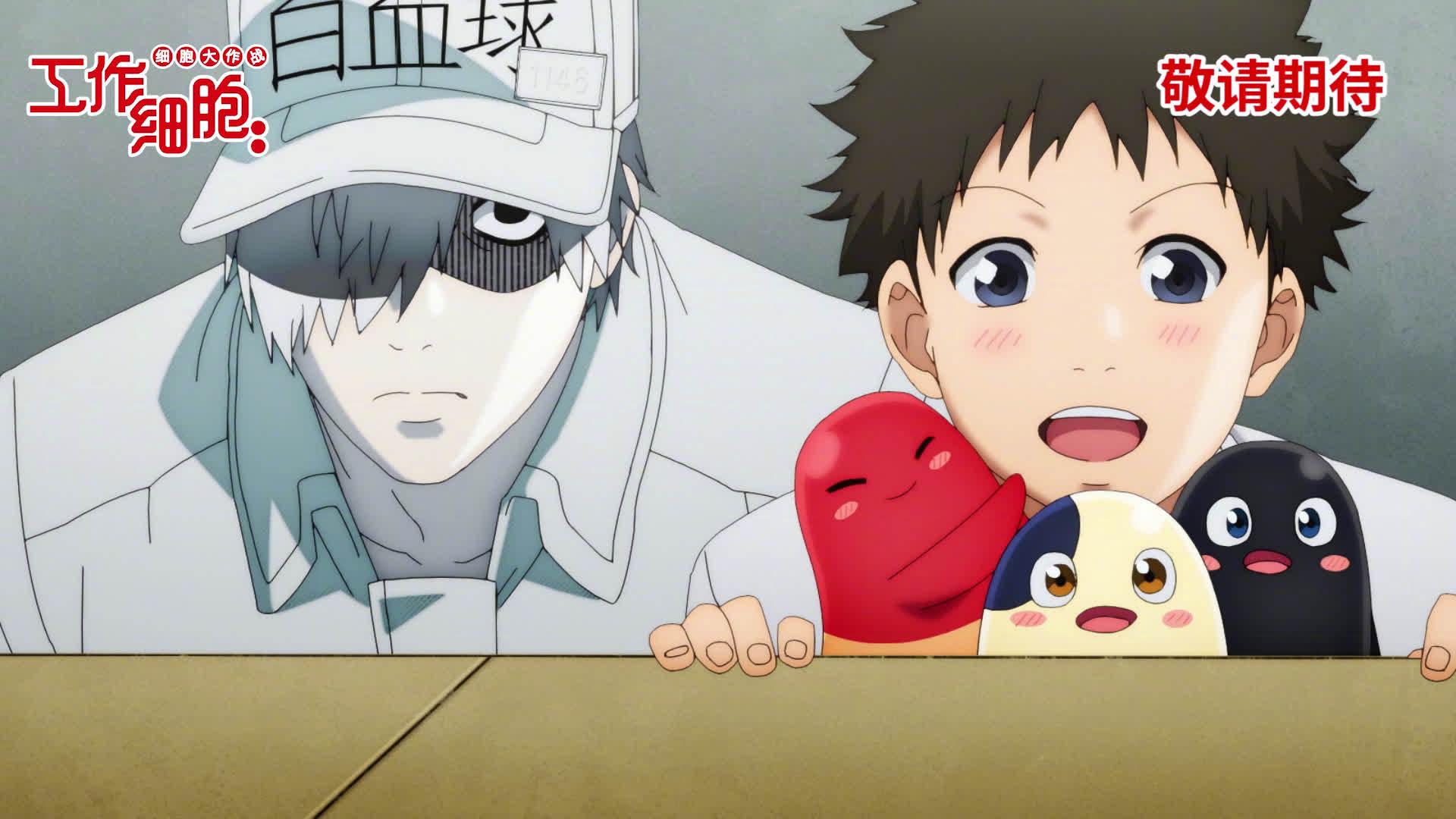 《工作细胞:细胞大作战》确认引进内地