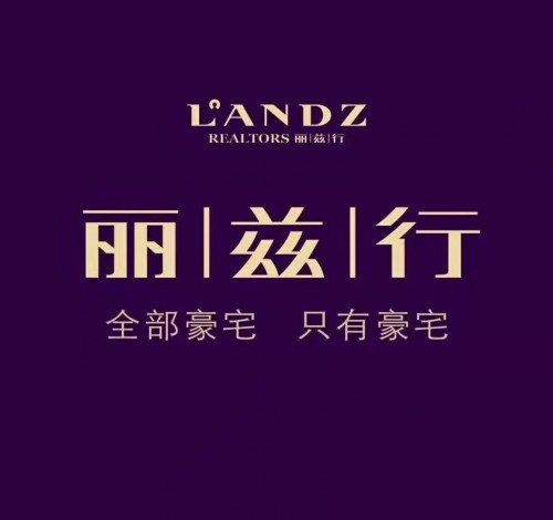 丽兹行解忧杂货铺正式成立