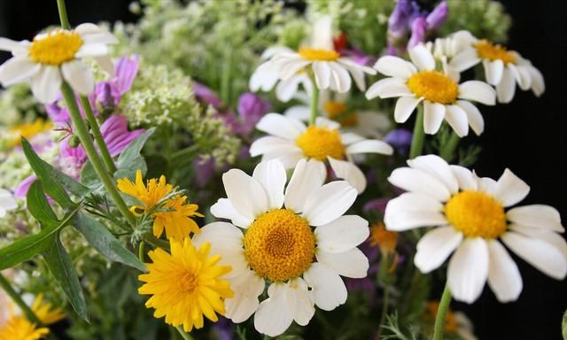 婆婆拿12万置办婚礼,亲家母再提要求：我搬来和你们住一起休闲区蓝鸢梦想 - Www.slyday.coM