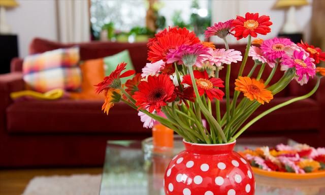 婆婆拿12万置办婚礼,亲家母再提要求：我搬来和你们住一起休闲区蓝鸢梦想 - Www.slyday.coM