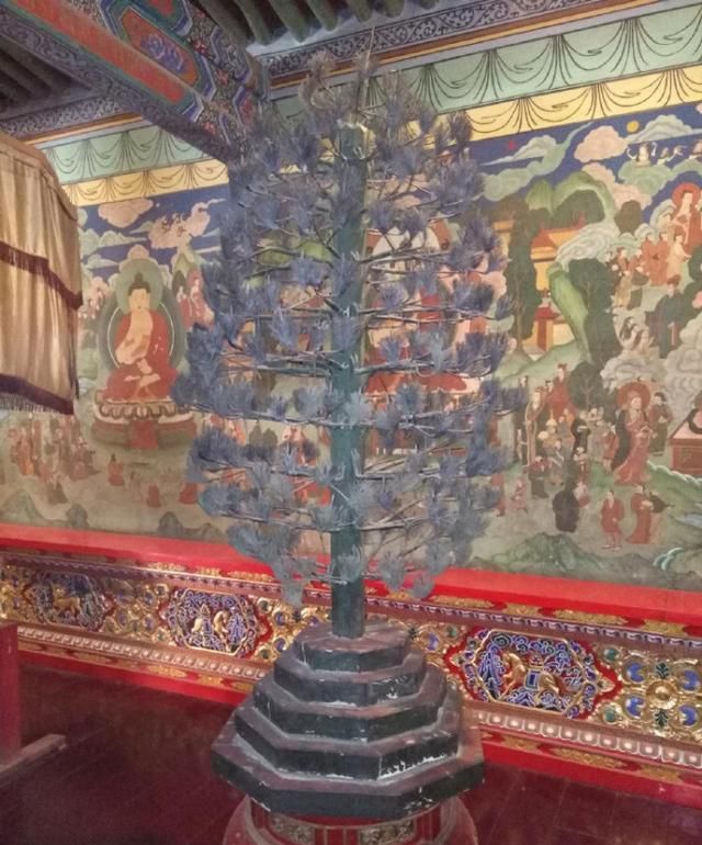 柏树"若木"崇拜溯源|神树|柏木|柏树_新浪新闻