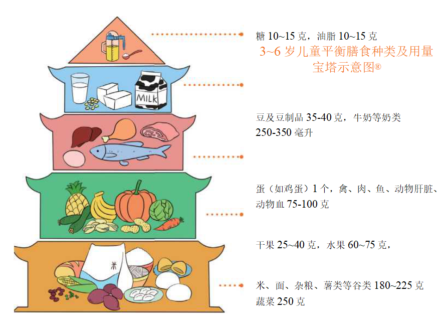 3到6岁宝宝日常营养膳食宝塔年轻宝妈须知孩子他爸也应该看看