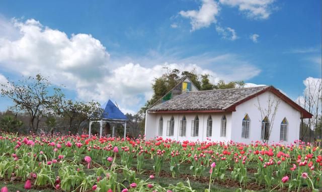 3月6日,去遂宁蓬溪天福万象花海看郁金香!