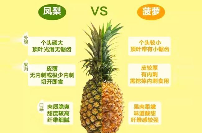 凤梨还在直接吃会吃的人都这样做酸甜可口色香味俱全
