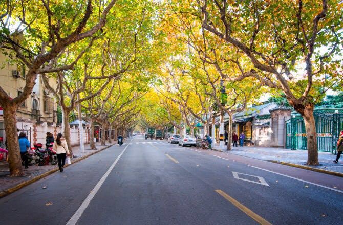 上海幽静的街道之一至今已近百年梧桐旺盛洋楼林立