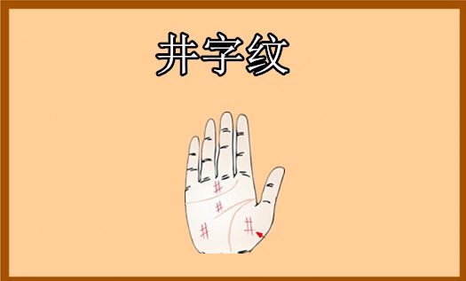 井字纹这里的井字纹,是指长在中指与无名指下方的纹路,主富贵与财运等