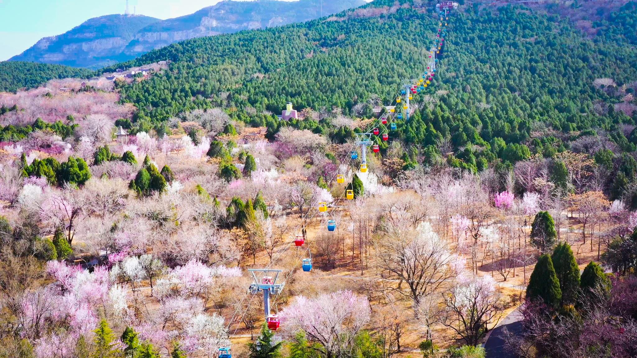 67秒感受济南历下最美春韵