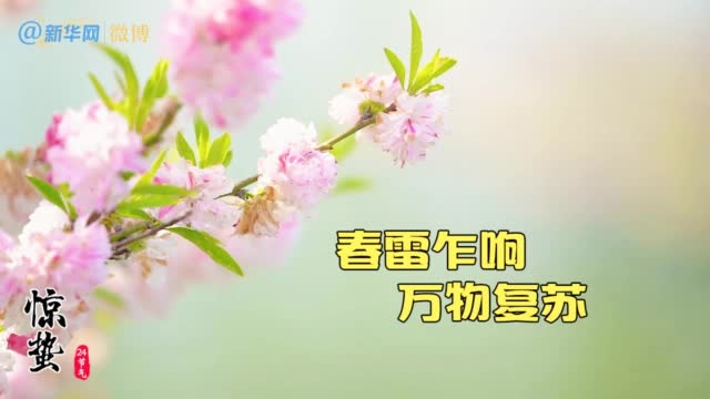 (微博)惊蛰 春雷乍响 万物复苏