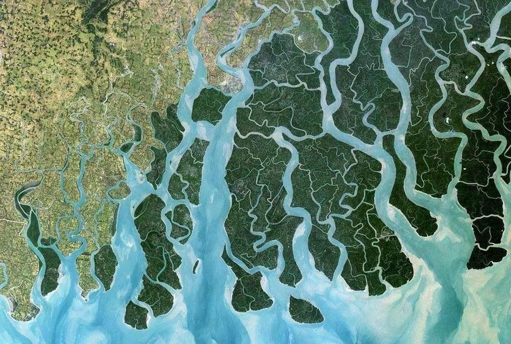 南亚的恒河三角洲为什么会成为世界上最大的河口三角洲