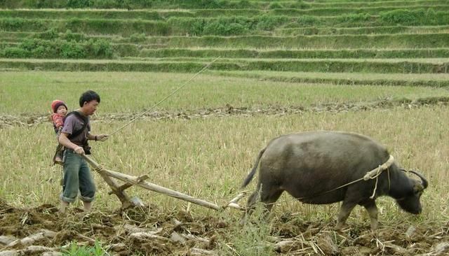 湖南永州农村人过了惊蛰节就犁田耙田喊嗨泣是什么意思呢