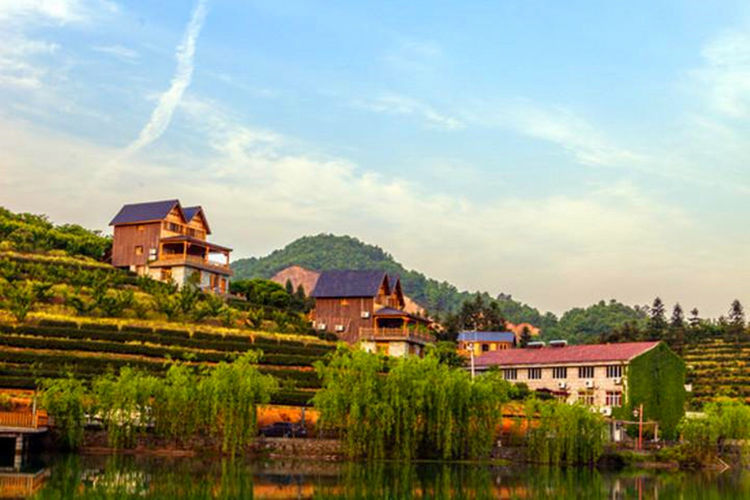 天地生态休闲农庄总占地面积1000多亩,除了南面临水,其余三面均环山