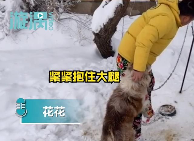 被拴了三年的边牧犬,看到救助人后激动地保住了小伙子的大腿休闲区蓝鸢梦想 - Www.slyday.coM 被拴了三年的边牧犬,看到救助人后激动地保住了小伙子的大腿休闲区蓝鸢梦想 - Www.slyday.coM