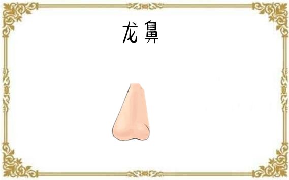 五种发财鼻子，贵人帮，横财旺，男人升大官，女人发大财！|鼻相|鼻子|贵人_新浪新闻