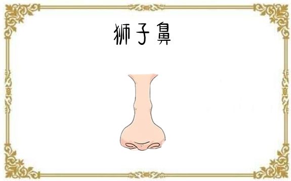 五种发财鼻子,贵人帮,横财旺,男人升大官,女人发大财!|鼻相|鼻子|贵人_新浪新闻