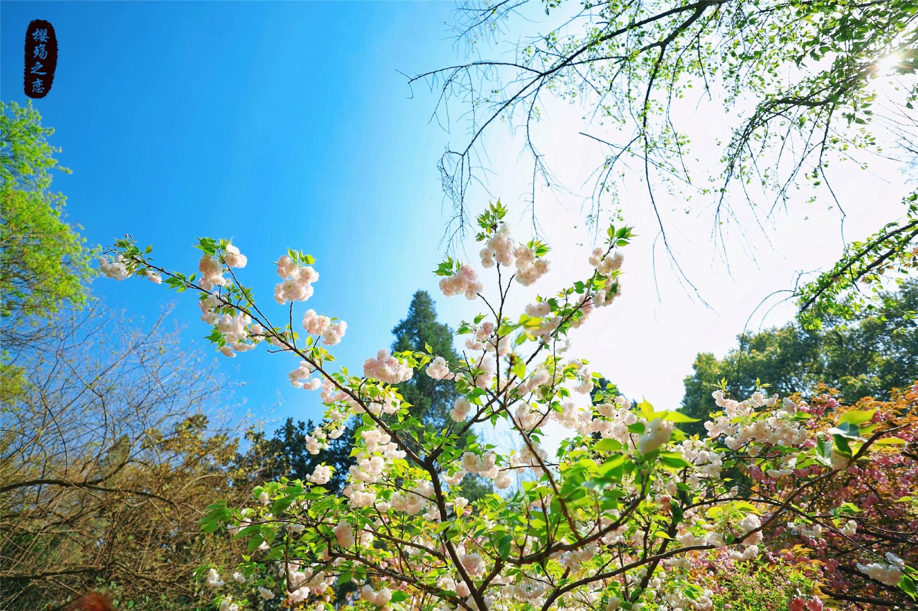 世界各国人口排名，共有13个国家超过1亿，中国和印度遥遥领先休闲区蓝鸢梦想 - Www.slyday.coM