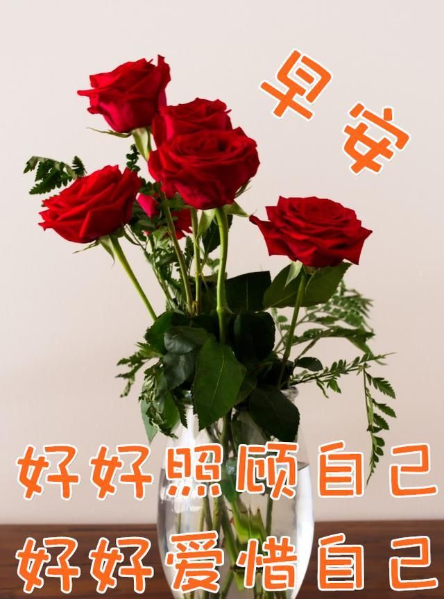 的负荷,要学会忘记,忘记那些不该记住的东西,忘记不属于自己的一切