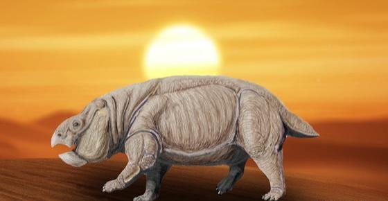 水资源依赖不是很强的爬行鳄类,例如波斯特鳄,角鳄,还有狂齿鳄,楔形鳄