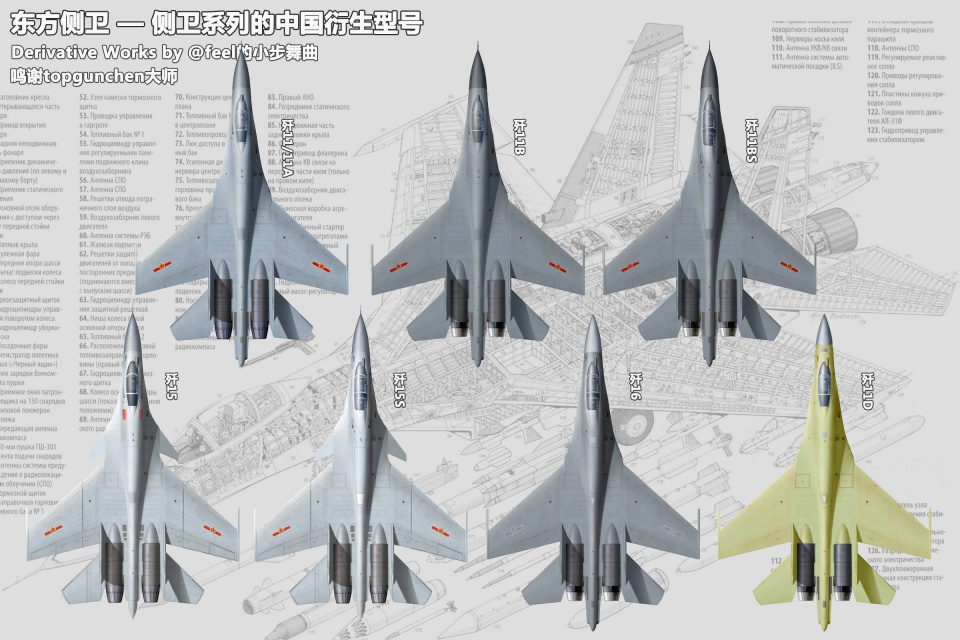 成飞很忙沈飞也没闲着带你看看国产侧卫家族的14位成员