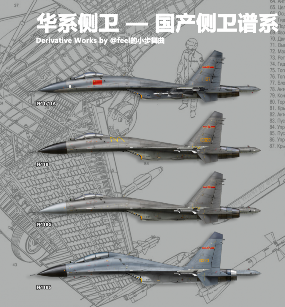 成飞很忙沈飞也没闲着带你看看国产侧卫家族的14位成员