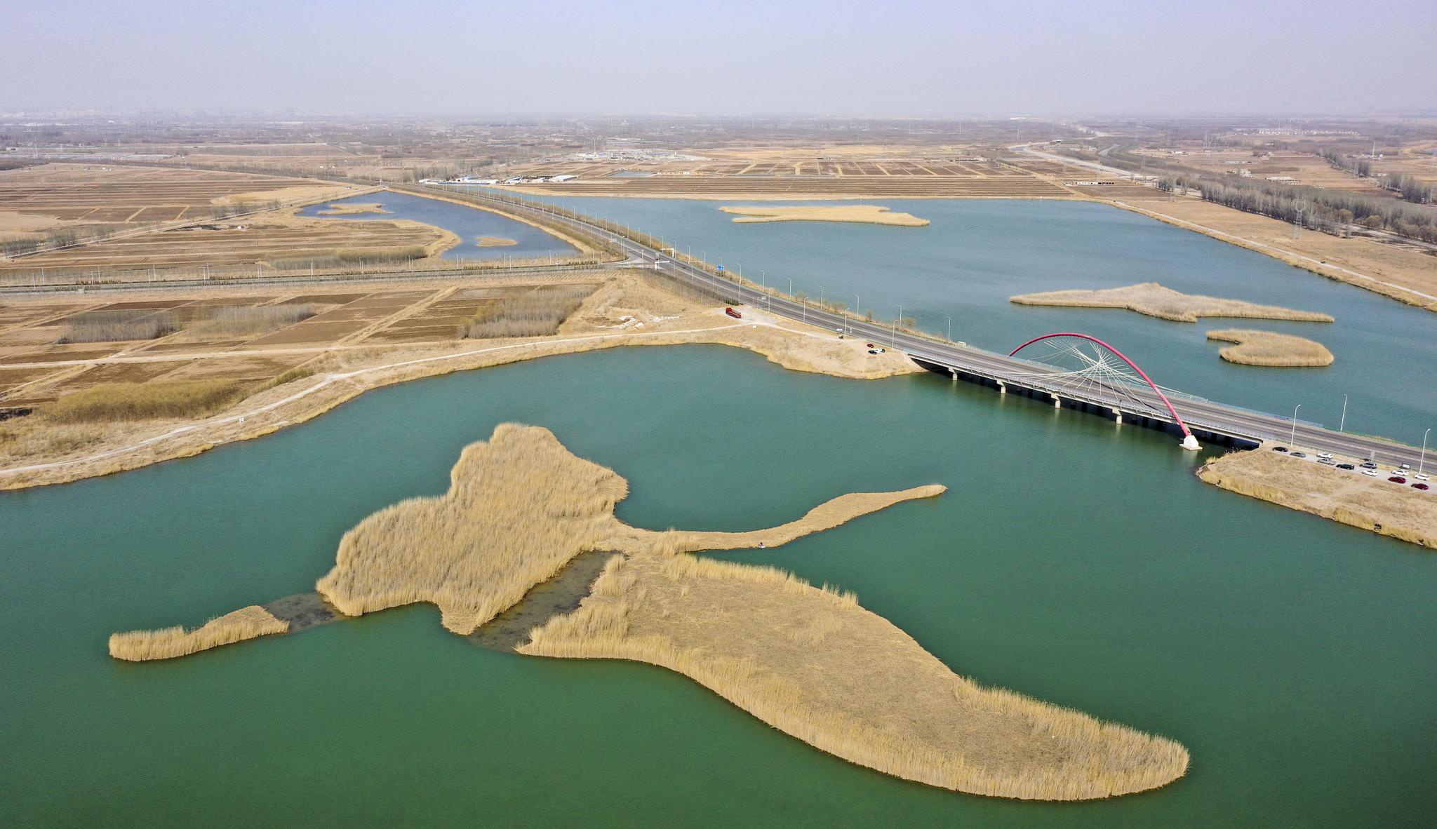 黄河流经宁夏银川市鹤泉湖大桥(3月2日摄,无人机照片).