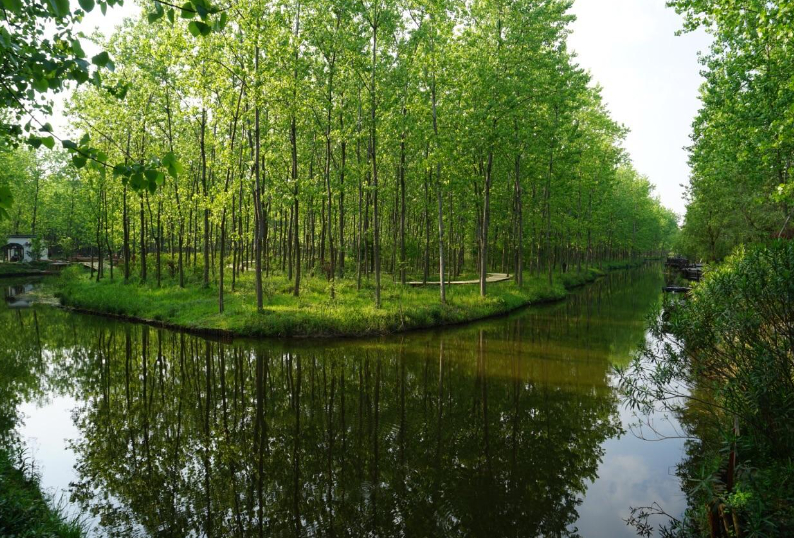卫星|植被|生态_新浪新闻