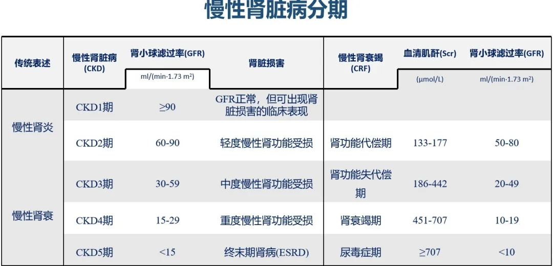 肾脏病的分期反映肾功能的情况,以往传统的慢性肾衰竭的分期逐步被ckd