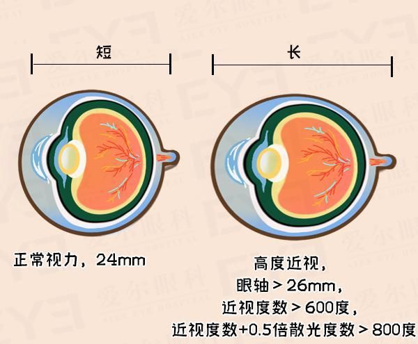 新浪看点