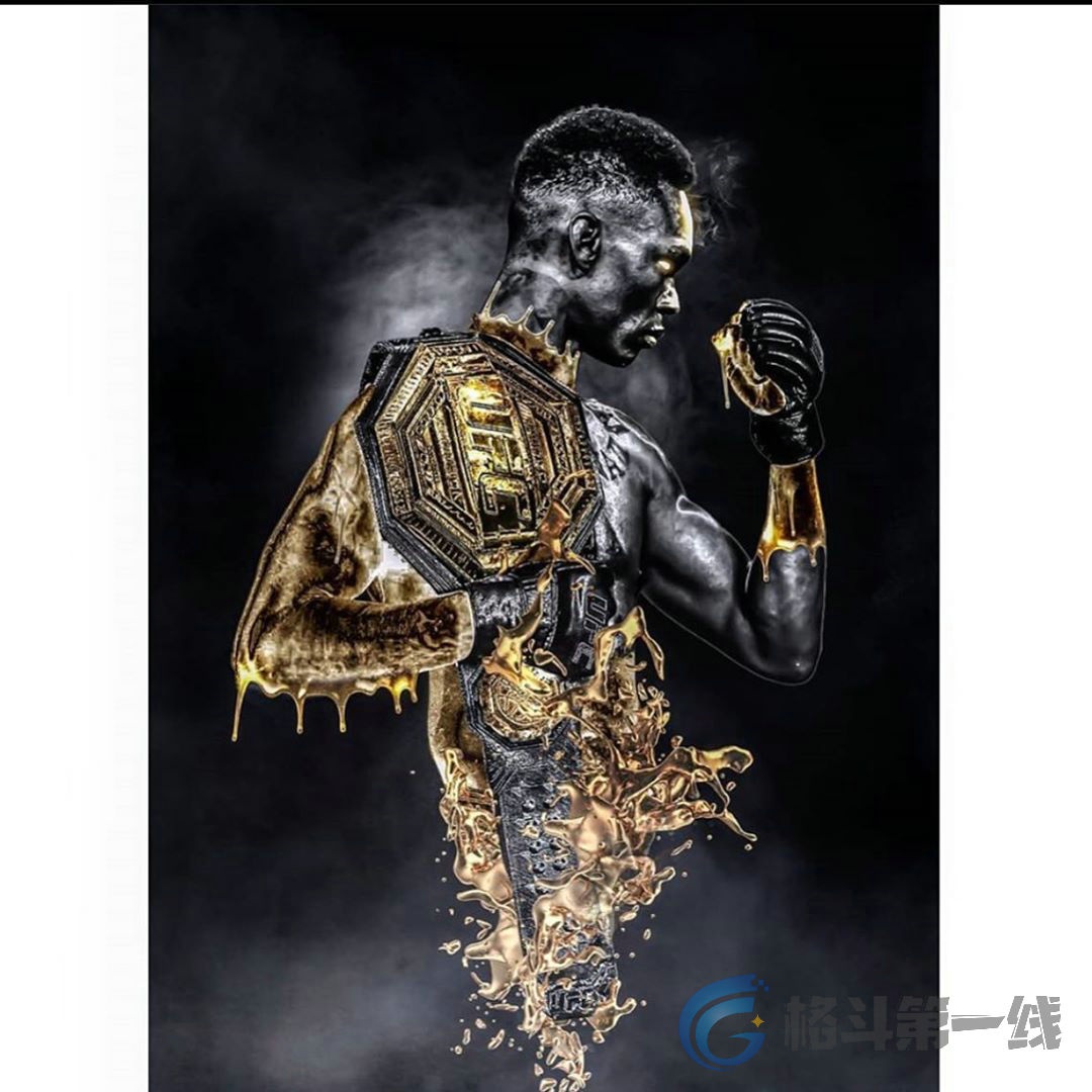 "黑龙"阿迪萨亚在ufc挣了多少钱?比张伟丽多六倍还有余