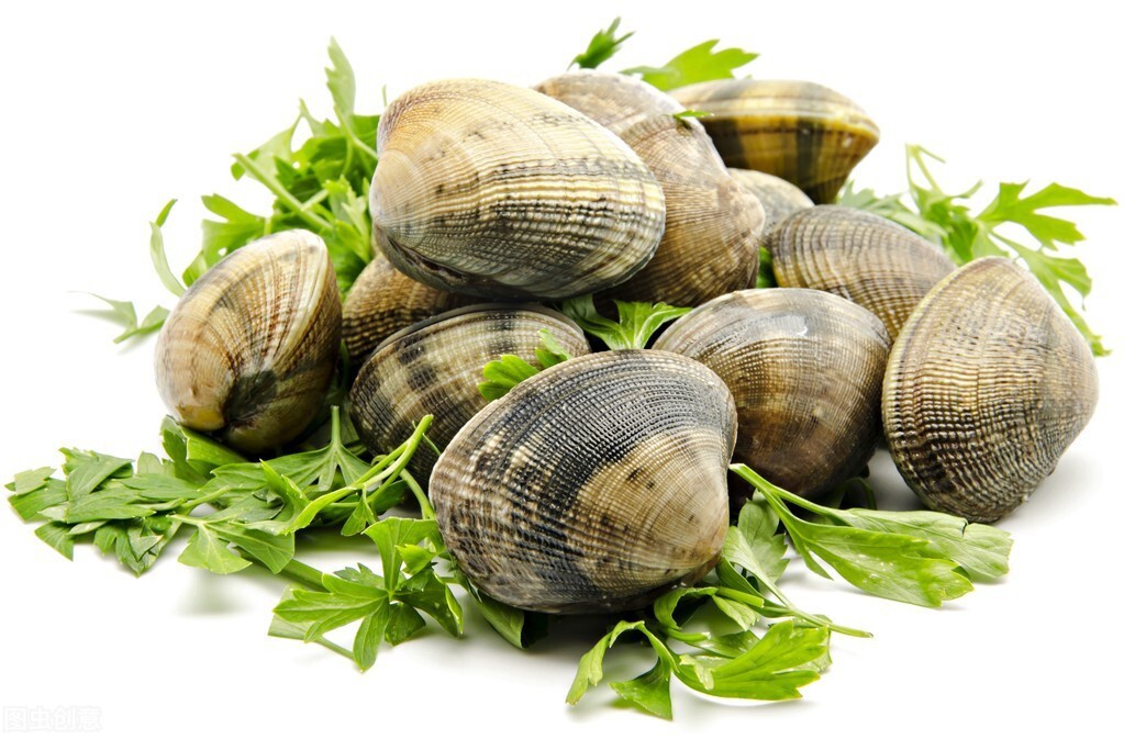 春天,记得吃1道小海鲜,口感嫩滑新鲜,才3块多一斤|花蛤|口感|生姜