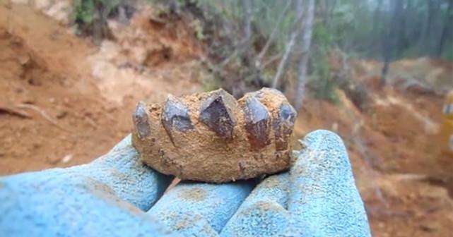 小伙野外发现水晶体石块,找来挖掘机挖宝!