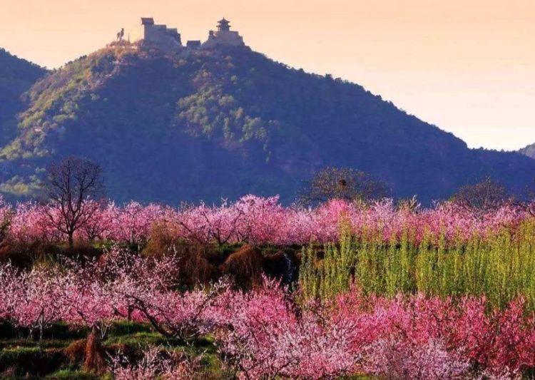 尖峰平谷电价是多少？