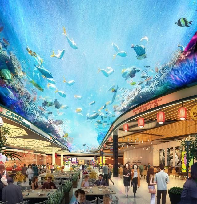 具有商场和公园双重身份,阜阳嘉年华广场把"花样"玩出新高度|嘉年华