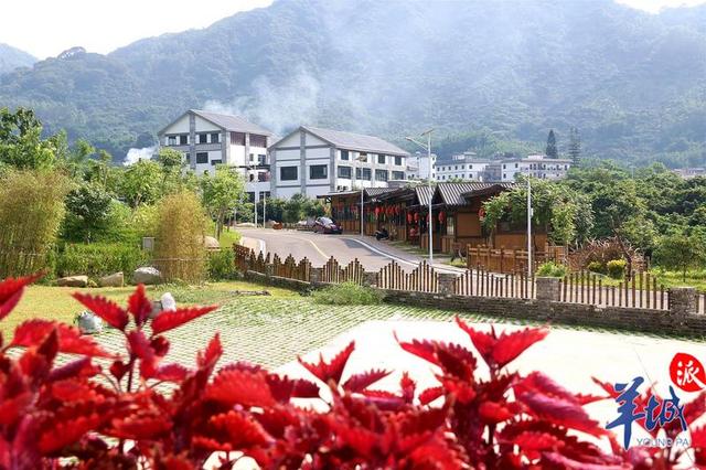 从小山村到“网红”特色小镇，从化南平村经历了什么？|广州_新浪新闻
