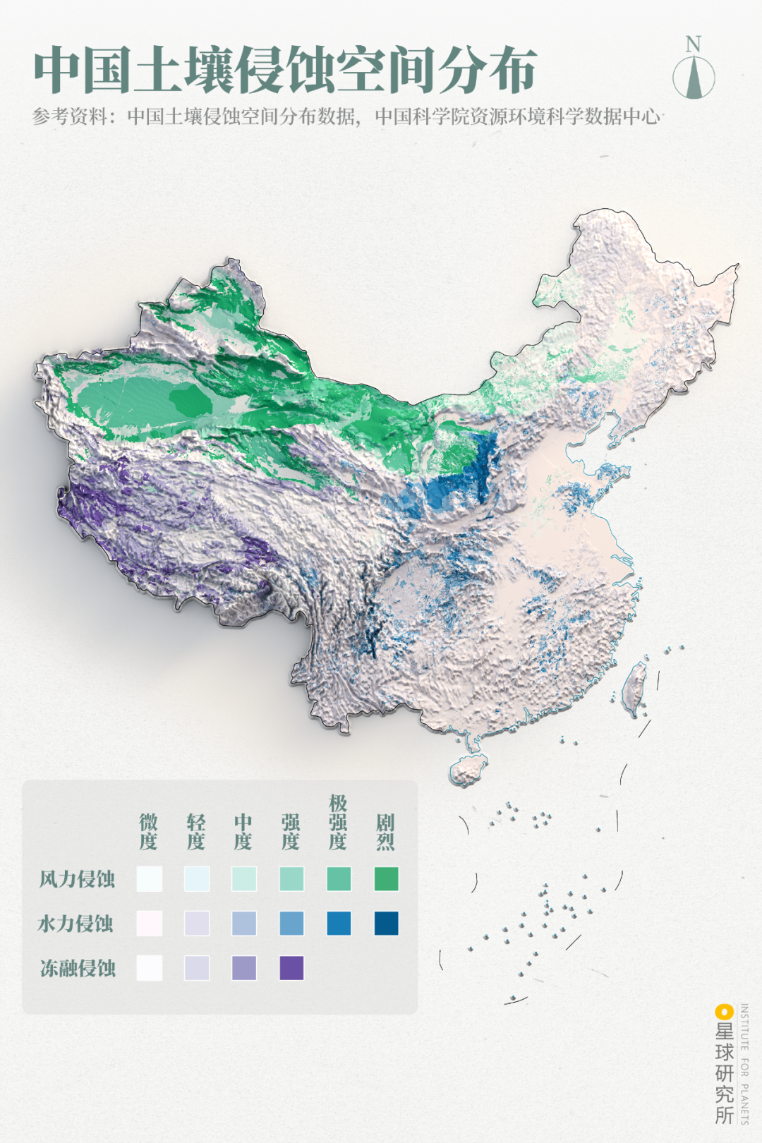红树林_新浪新闻