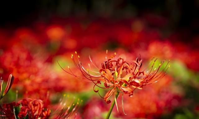 你若真心对他,他必回应给你,爱情中这些星座女值得被爱休闲区蓝鸢梦想 - Www.slyday.coM 你若真心对他,他必回应给你,爱情中这些星座女值得被爱休闲区蓝鸢梦想 - Www.slyday.coM