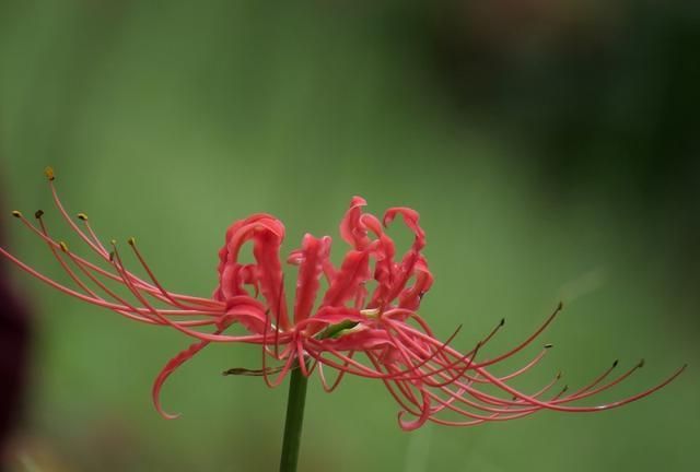 你若真心对他,他必回应给你,爱情中这些星座女值得被爱休闲区蓝鸢梦想 - Www.slyday.coM 你若真心对他,他必回应给你,爱情中这些星座女值得被爱休闲区蓝鸢梦想 - Www.slyday.coM