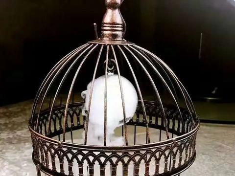 富贵,金玉满堂……一道道春鲜被做成美味让春天在味蕾上跳跃"四季更替